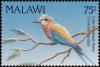 Colnect-3388-902-Lilac-breasted-Roller-Coracias-caudata.jpg