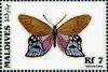Colnect-4182-804-Butterfly-Satyrus-lena.jpg