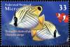 Colnect-4657-430-Threadfin-Butterflyfish---Chaetodon-auriga.jpg