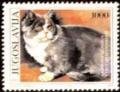 Colnect-870-437-British-Blue-and-White-Shorthair-Felis-silvestris-catus.jpg