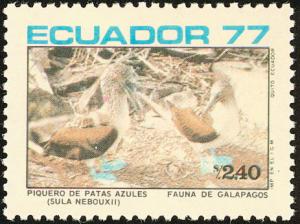 Colnect-1724-464-Blue-footed-Booby-Sula-nebouxii.jpg