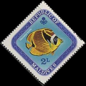 Colnect-2674-828-Raccoon-Butterflyfish-Chaetodon-lunula.jpg