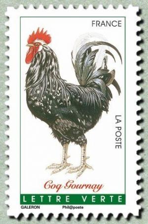 Colnect-3148-416-Gournay-Rooster-Gallus-gallus-domesticus.jpg