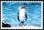 Colnect-3505-589-Blue-footed-Booby-Sula-nebouxii.jpg