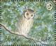 Colnect-1721-698-Northern-White-faced-Owl-Otus-leucotis-.jpg