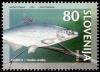 Colnect-694-845---Animals-of-Slovenia-Threatened-types-of-fresh-water-fish.jpg
