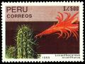 Colnect-1499-501-Loxanthocereus-acanthurus.jpg