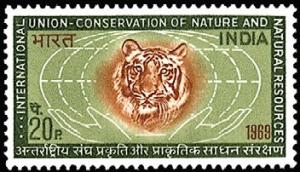 Colnect-2526-759-Tiger-Panthera-tigris---Head-Globe.jpg