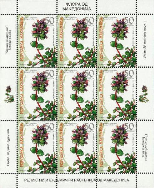Colnect-5375-856-Thymus-oehmianus.jpg