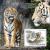 Colnect-6643-175-Panthera-tigris-tigris.jpg