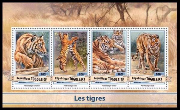 Colnect-6023-634-Tiger-Panthera-tigris---Subspecies.jpg