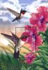 Colnect-3483-432-Ruby-throated-hummingbird.jpg
