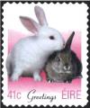 Colnect-1902-313-Greetings---Baby-Rabbits.jpg