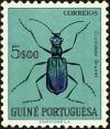 Colnect-4489-180-African-Blue-Tiger-Beetle-Cicindela-brunet.jpg