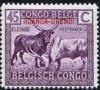 Colnect-1083-159-Watussi-Cattle-Bos-primigenius-taurus.jpg