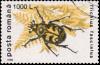 Colnect-3578-782-Bee-Beetle-Trichius-fasciatus.jpg