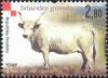 Colnect-389-985-Istrian-Cattle-Bos-primigenius-taurus.jpg