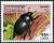 Colnect-2068-079-Dung-Beetle-G%C3%A9otrupes-spiniger.jpg