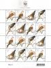Colnect-1363-856-European-Turtle-Dove-Streptopelia-turtur.jpg