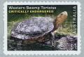 Colnect-3558-734-Western-Swamp-Tortoise-Pseudemydura-umbrina.jpg