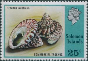 Colnect-3961-469-Commercial-Top-Shell-Trochus-niloticus.jpg