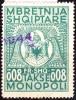 Albania_Italian_occupation_0.08_Fr_customs_revenue_stamp_c._1941_used_1944.JPG