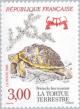 Colnect-146-053-Hermann-s-Tortoise-Testudo-hermanni.jpg