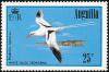 Colnect-579-175-White-tailed-Tropicbird-Phaethon-lepturus.jpg
