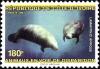 Colnect-6142-425-African-Manatee-Trichechus-manatus-senegalensis.jpg