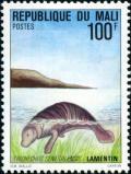 Colnect-2503-835-African-Manatee-Trichechus-manatus-senegalensis.jpg
