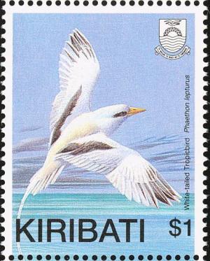 Colnect-1301-208-White-tailed-Tropicbird-Phaethon-lepturus.jpg