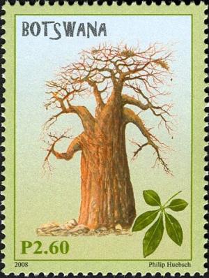Colnect-5780-512-Baobab-Tree-by-Philip-Huebsch.jpg