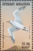 Colnect-4411-809-White-tailed-Tropicbird-Phaethon-lepturus.jpg