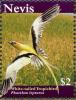 Colnect-4562-575-White-tailed-Tropicbird-Phaethon-lepturus.jpg