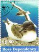 Colnect-3274-145-Antarctic-Petrel-Thalassoica-antarctica.jpg