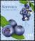 Colnect-4819-602-Fruits---Nuts-Bilberries.jpg