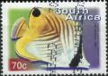 Colnect-2339-540-Threadfin-Butterflyfish-Chaetodon-auriga.jpg