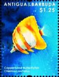 Colnect-5942-816-Copperband-Butterflyfish-Chelmon-rostratus.jpg