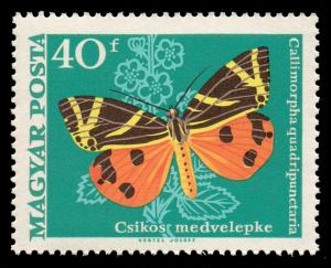 1966_Moth_Butterfly_40.jpg