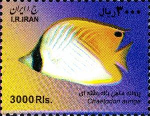 Colnect-1592-843-Threadfin-Butterflyfish-Chaetodon-auriga.jpg