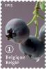 Colnect-2728-469-Forgotten-fruit-Blueberry.jpg