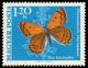 1970_Moth_Butterly_120.jpg