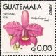 Colnect-2651-991-Cattleya-bowringiana.jpg