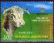 Colnect-3125-978-Hereford-Cattle-Bos-primigenius-taurus.jpg