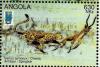 Colnect-2220-185-Cheetah-Axinoyx-jubatus-Springbok-Antidorcas-marsupialis.jpg