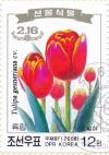 Colnect-3199-631-Garden-tulip-Tulipa-gesneriana.jpg