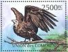 Colnect-6205-725-Hooded-Vulture-Necrosyrtes-monachus.jpg