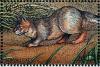 Colnect-1714-656-Somali-Cat-Felis-silvestris-catus.jpg