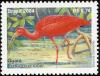 Colnect-1976-319-Scarlet-Ibis-Eudocimus-ruber.jpg