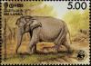 Colnect-2754-553-Ceylon-Elephant-Elephas-maximus-ceylonensis.jpg